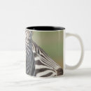 Search for tranquil mugs Wildlife
