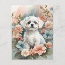 Search for cute baby animals postcards Puppy