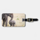 Search for africa photography Elephant