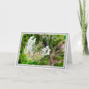 Search for annes cards For her