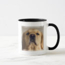 Search for balancing mugs Dog
