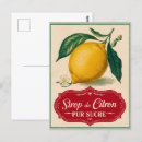 Search for fruit postcards Modern