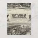 Search for wichita kansas postcards Lithographed