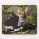 Search for chihuahua mousepads Pet