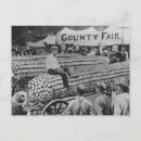 Search for fair postcards Cars