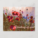 Search for effect postcards Artistic