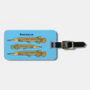 Search for freshwater accessories Fishing