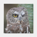 Search for saw magnets Owl