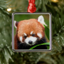 Search for red panda christmas tree decorations China