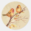 Search for birds finch stickers Wildlife
