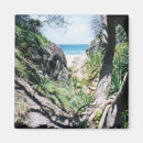 Search for grass magnets Coast