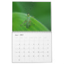 Search for insect calendars Bugs