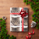 Search for furry wrapping paper Kitty