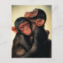 Search for cute chimpanzee postcards Monkey
