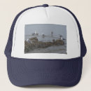 Search for seagull hats Beach