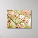 Search for cherry blossom tree canvas prints Nature