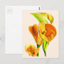 Search for yellow blossoms postcards Watercolor