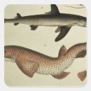 Search for school of fish stickers Fin