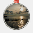 Search for skies christmas tree decorations Sunsets