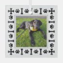 Search for labrador retriever memorial Doggie