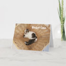 Search for cat basket cards Fun