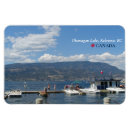 Search for marina magnets Summer