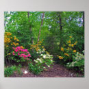 Search for azalea posters Garden