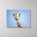 Search for giraffe print canvas prints Outdoors