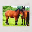 Search for draught postcards Horses