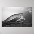 Search for black and white fish art Monochrome