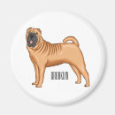 Search for pei magnets Chinese
