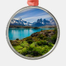 Search for chile christmas tree decorations Patagonia