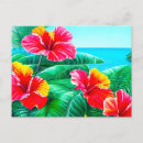 Search for hibiscus flower postcards Flowers
