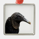 Search for vulture christmas tree decorations Black