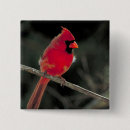 Search for cardinal bird badges Wildlife
