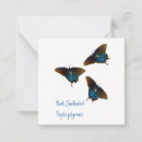 Search for insects note cards Black