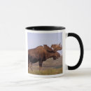 Search for moose antler mugs Bull