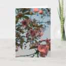 Search for crabapple cards Malus