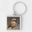 Search for tail feather key rings Wildlife