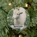 Search for goat gifts Cute