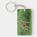 Search for front and key rings Animal