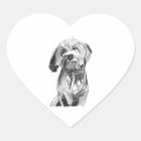 Search for cavapoo stickers Animal