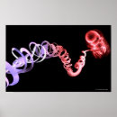 Search for strands posters View