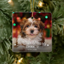 Search for loss pet memorial ornaments In loving memory