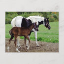 Search for pinto cards invites Horse
