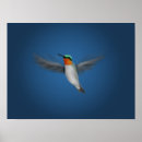 Search for tiny birds posters Cute