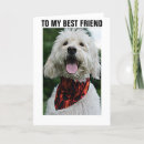 Search for dressed up cards Friend