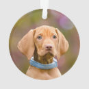 Search for hunting dog christmas tree decorations Puppy