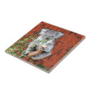 Search for wildlife tiles Fur