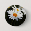 Search for daisy picture badges Botanical